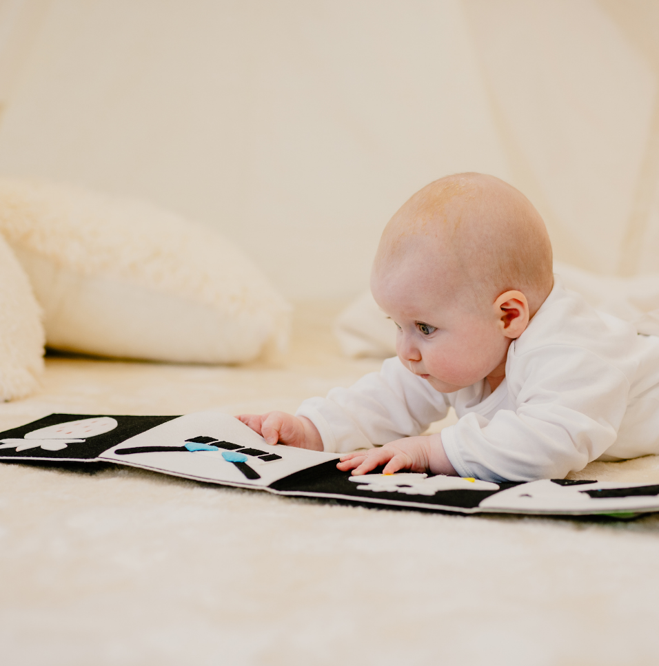 Black and White "Hohe Kontraste"